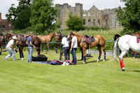 Twelve Oaks v HB Polo in a Veuve Clicquot Gold Cup Polo Match 2013.06.30