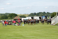 Enigma v La Bamba de Areco in a Veuve Clicquot Gold Cup Polo Match 2013.06.29