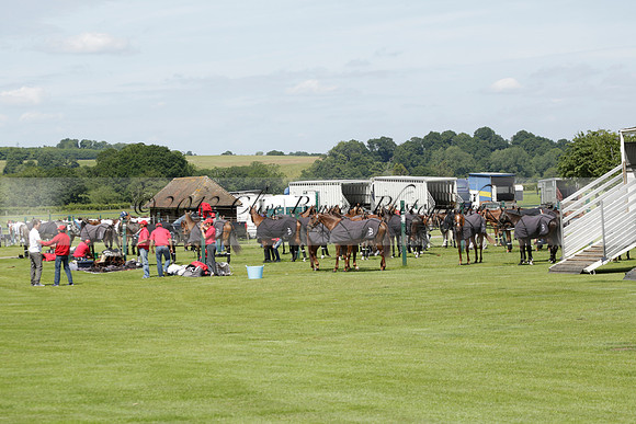 Enigma v La Bamba de Areco in a Veuve Clicquot Gold Cup Polo Match 2013.06.29