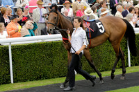 Race 6 Goodwood The British Stallion Studs Turf Club E.B.F. Fillies Stakes. 20130731. Race winner Ribbons owner Elite Racing Club