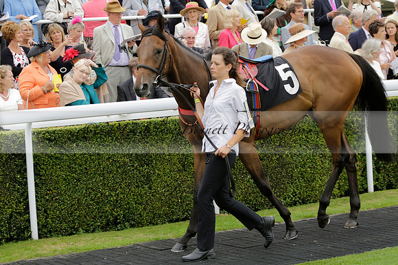 Race 6 Goodwood The British Stallion Studs Turf Club E.B.F. Fillies Stakes. 20130731. Race winner Ribbons owner Elite Racing Club