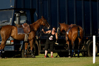Combe v Pluma Negra / 4H in a July 4 Goal Polo match 2013.07.08