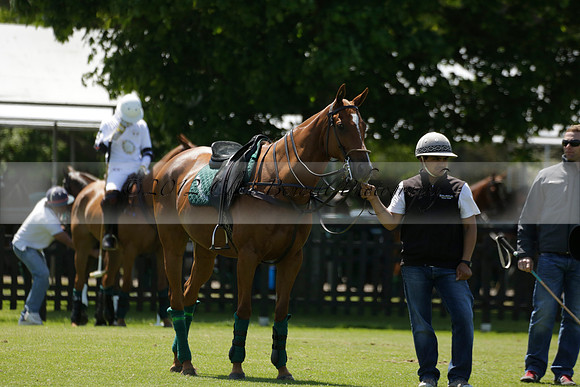 Black Bears v Salkeld in a Cartier Queens Cup polo match 2013.06.05