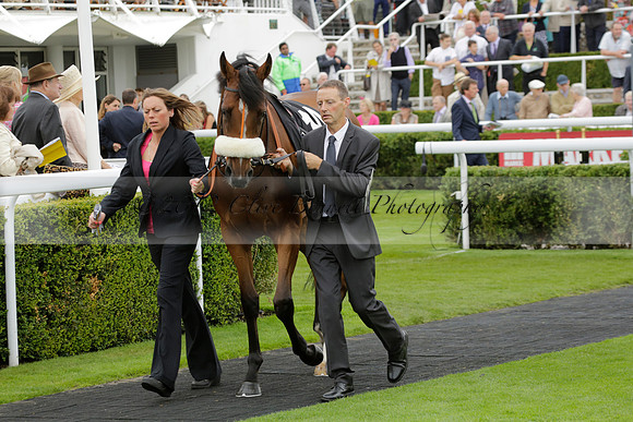 Race 6 Goodwood The British Stallion Studs Turf Club E.B.F. Fillies Stakes. 20130731. Race winner Ribbons owner Elite Racing Club