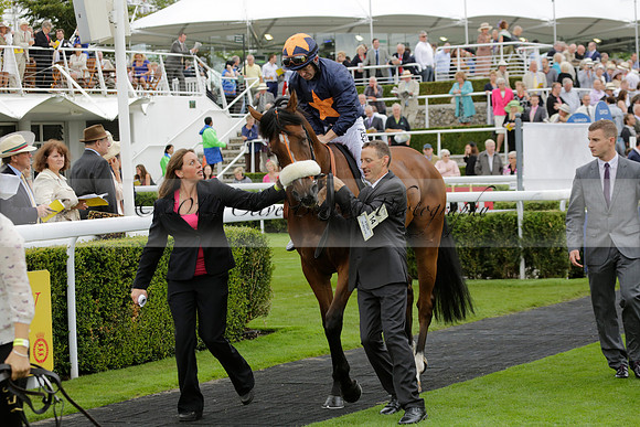 Race 6 Goodwood The British Stallion Studs Turf Club E.B.F. Fillies Stakes. 20130731. Race winner Ribbons owner Elite Racing Club