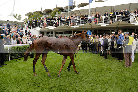 Race 6 Goodwood The British Stallion Studs Turf Club E.B.F. Fillies Stakes. 20130731. Race winner Ribbons owner Elite Racing Club