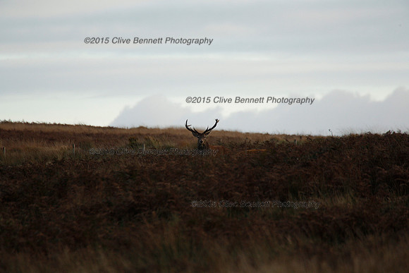 _CB_0128