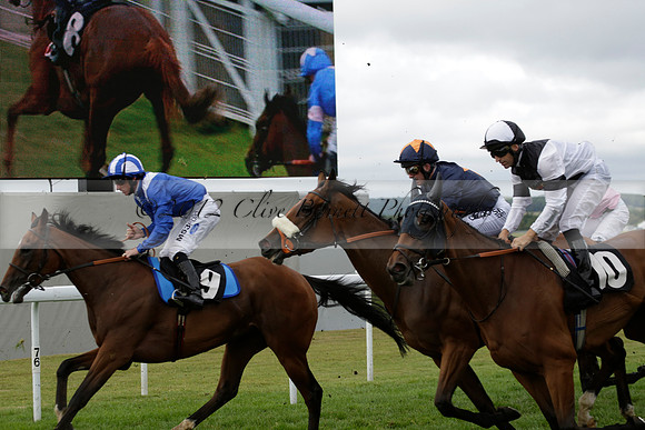 Race 6 Goodwood The British Stallion Studs Turf Club E.B.F. Fillies Stakes. 20130731. Race winner Ribbons owner Elite Racing Club