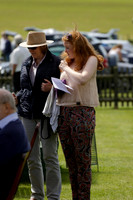 Enigma v La Bamba de Areco in a Veuve Clicquot Gold Cup Polo Match 2013.06.29