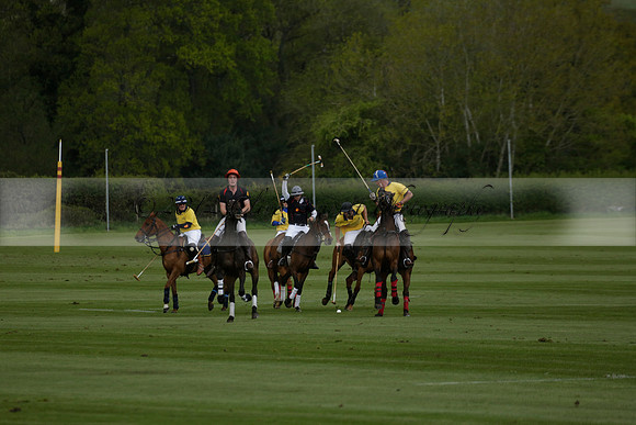 Las Estrellas v Shoreline in a May 4 Goal Spring Cup Polo match 2013.05.15