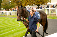 Race 7 The tigerbet.co.uk Lucky Odds Boost Handicap Hurdle Race 2026.10.15