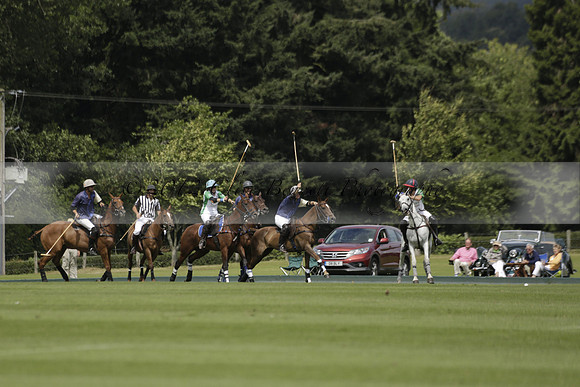 Burningfold (blue) v Wairakei Pastoral (green) in the Ruins Cup Final on Sunday 04 August 2013.
