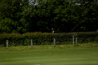 Four Quarters Orange v Montana in a Cicero Cup Polo match 2013.06.06