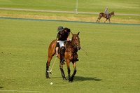Shoreline v Cowdray Vikings in a Easebourne Cup Semi-final Polo match 2013.06.07