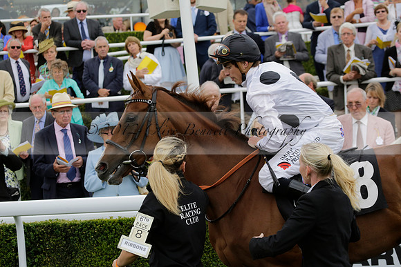 Race 6 Goodwood The British Stallion Studs Turf Club E.B.F. Fillies Stakes. 20130731. Race winner Ribbons owner Elite Racing Club