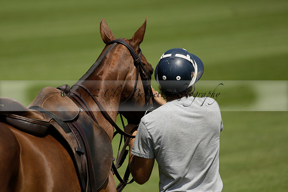 UAE Polo v El Remanso in a Veuve Clicquot Gold Cup Polo Match 2013.07.05