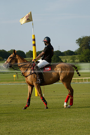 Shoreline v Cowdray Vikings in a Easebourne Cup Semi-final Polo match 2013.06.07