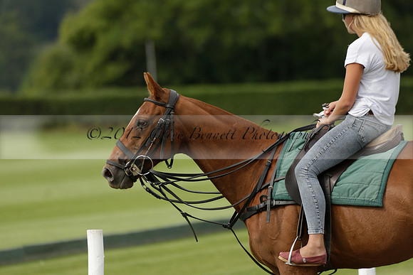 Beau Design v Boscom in an August Rother Cup 4 goal polo match at Cowdray Park Polo Club on Wednesday 07 August 2013