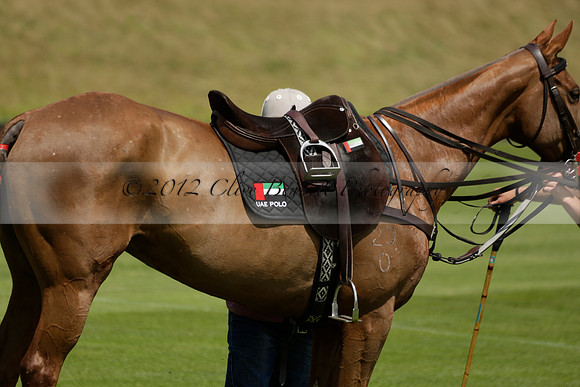 UAE Polo v El Remanso in a Veuve Clicquot Gold Cup Polo Match 2013.07.05
