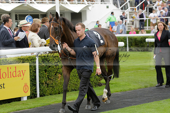Race 6 Goodwood The British Stallion Studs Turf Club E.B.F. Fillies Stakes. 20130731. Race winner Ribbons owner Elite Racing Club
