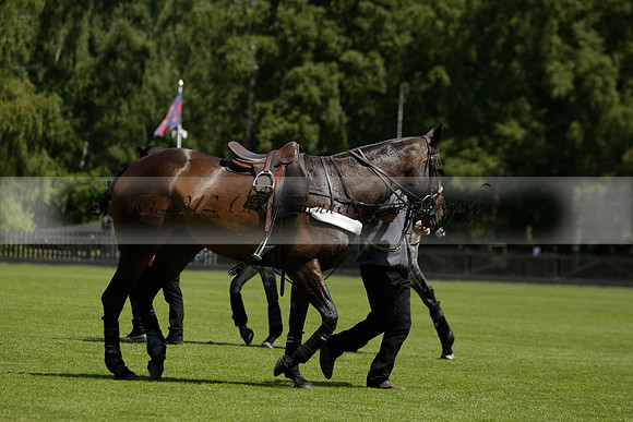 Black Bears v Salkeld in a Cartier Queens Cup polo match 2013.06.05