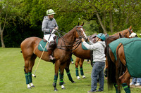 UAE Polo Team v Salkeld in a Queens Cup polo match 2013.05.23