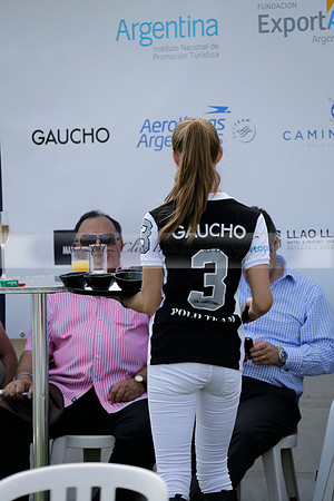 Zacara v Les Lions in a Veuve Clicquot Gold Cup Polo Match 2013.07.06