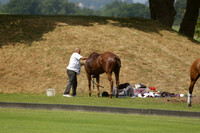 Lucchese v Enigma in a Veuve Clicquot Gold Cup Polo Match 2013.07.14