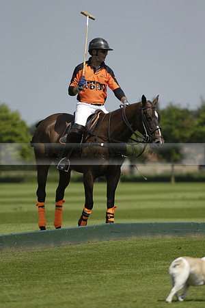 Four Quarters Orange v Montana in a Cicero Cup Polo match 2013.06.06