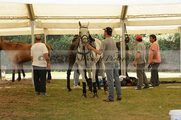 Zacara v Talandracas in a Veuve Clicquot Gold Cup Polo Match 2013.07.18