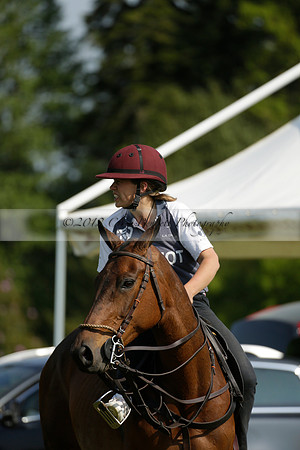 Lost Boys Cowdray Vikings in the Jaeger Le Coultre Duke of Sutherland Cup Subsidiary Final Polo match 2013.06.06