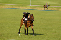 Shoreline v Cowdray Vikings in a Easebourne Cup Semi-final Polo match 2013.06.07