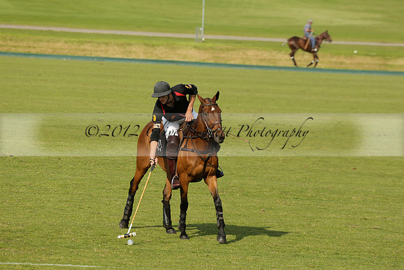 Shoreline v Cowdray Vikings in a Easebourne Cup Semi-final Polo match 2013.06.07