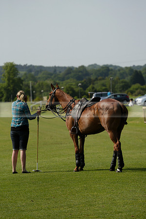 Lost Boys Cowdray Vikings in the Jaeger Le Coultre Duke of Sutherland Cup Subsidiary Final Polo match 2013.06.06