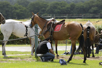 Burningfold (blue) v Wairakei Pastoral (green) in the Ruins Cup Final on Sunday 04 August 2013.