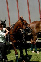 HFS Milbourne Cup Final played at Hurtwood Polo Club on Friday 14 June 2013