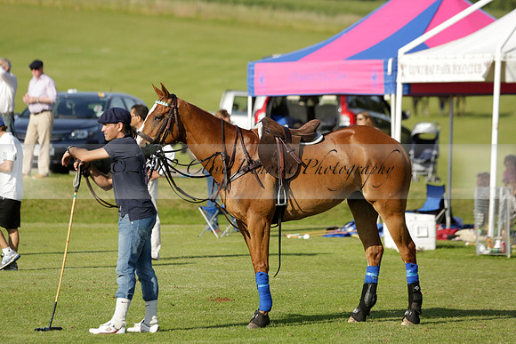 El Remanso v Emlor in a Veuve Clicquot Gold Cup Polo Match 2013.06.30