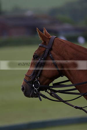 Burningfold v Combe Place in a June 4 Goal Cup polo match 2013.06.11