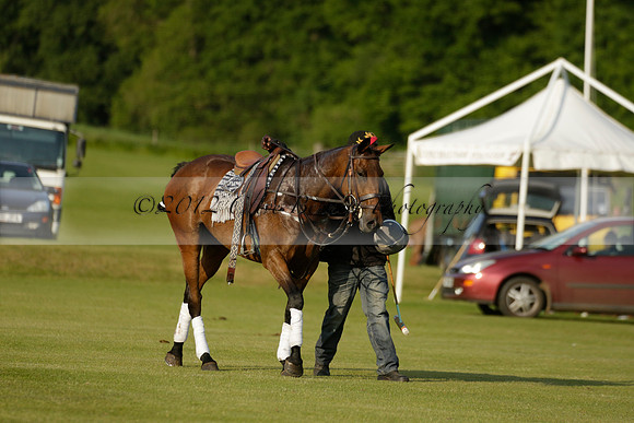 Shoreline v Cowdray Vikings in a Easebourne Cup Semi-final Polo match 2013.06.07