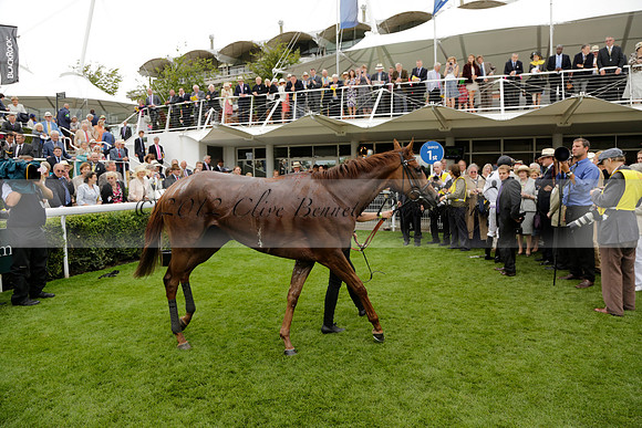 Race 6 Goodwood The British Stallion Studs Turf Club E.B.F. Fillies Stakes. 20130731. Race winner Ribbons owner Elite Racing Club