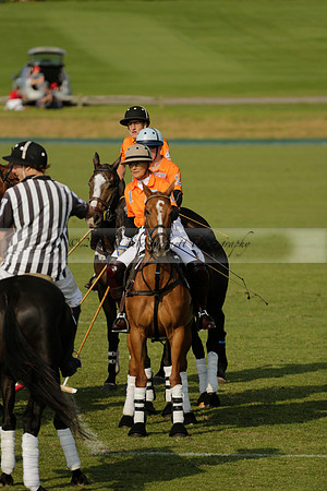 Shoreline v Cowdray Vikings in a Easebourne Cup Semi-final Polo match 2013.06.07
