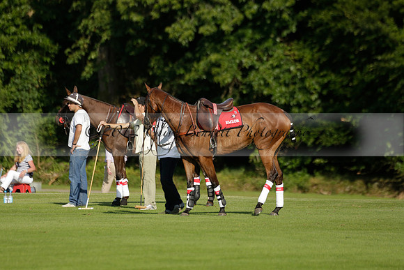 El Remanso v Emlor in a Veuve Clicquot Gold Cup Polo Match 2013.06.30