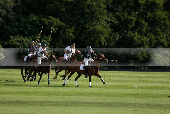 Pandas (white) v Home Farm (navy) in a Park House West Sussex Cup Polo match on Brooksfield at Cowdray Park Polo Club on Friday 30 August 2013. 2013.08.30 www.polopictures.co.uk