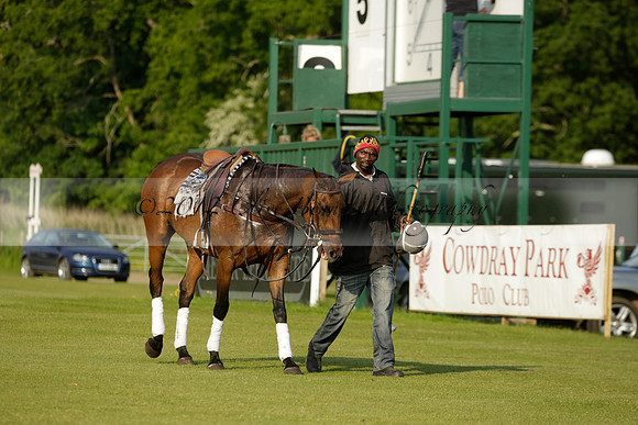 Shoreline v Cowdray Vikings in a Easebourne Cup Semi-final Polo match 2013.06.07