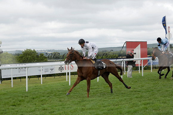 Race 6 Goodwood The British Stallion Studs Turf Club E.B.F. Fillies Stakes. 20130731. Race winner Ribbons owner Elite Racing Club