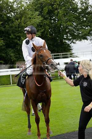 Race 6 Goodwood The British Stallion Studs Turf Club E.B.F. Fillies Stakes. 20130731. Race winner Ribbons owner Elite Racing Club