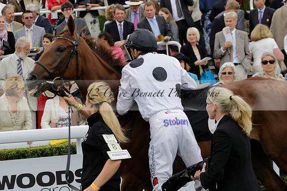 Race 6 Goodwood The British Stallion Studs Turf Club E.B.F. Fillies Stakes. 20130731. Race winner Ribbons owner Elite Racing Club