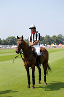 Zacara v Dubai in the Veuve Clicquot Gold Cup Polo Final Match 2013.07.21