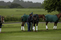 Banana Men v Gales in the Bryan Bethell Cup Final Polo match 2013.06.22