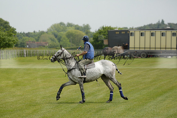 Maiz Dulce v Burningfold in an Easebourne Cup polo match 2013.06.07